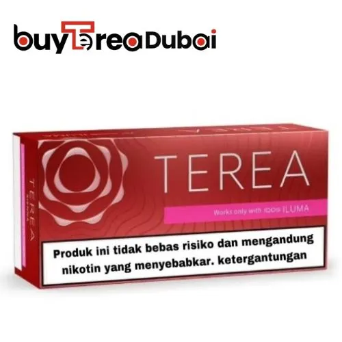 IQOS Terea Sienna from Indonesia in Dubai UAE