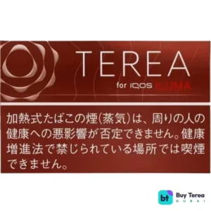TEREA Bold Regular Japan