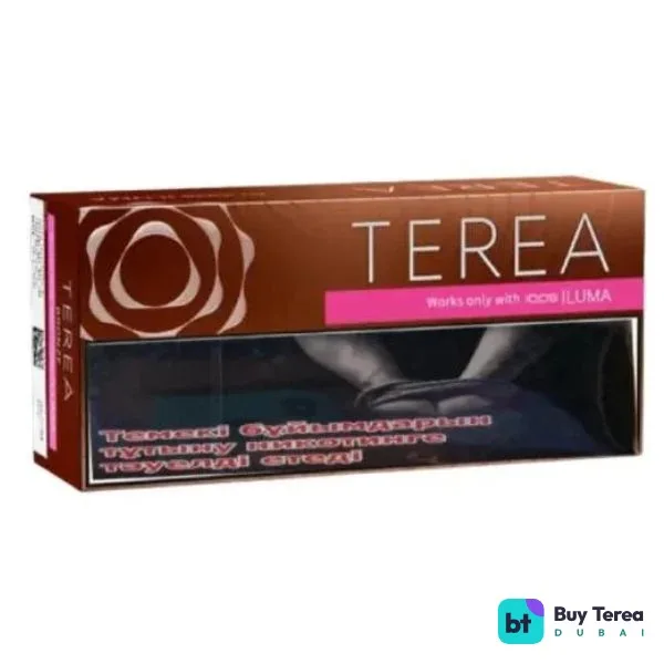 TEREA Bronze Kazakhstan