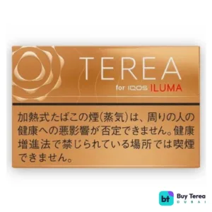 TEREA Warm Regular Japan